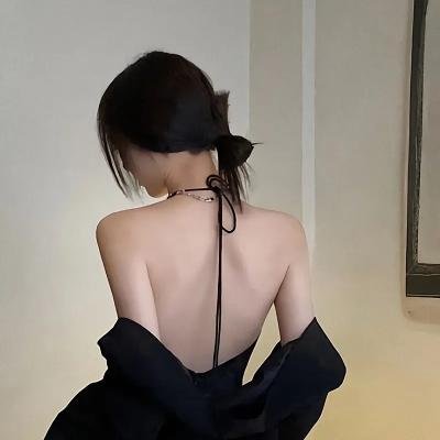 盗贼生涯